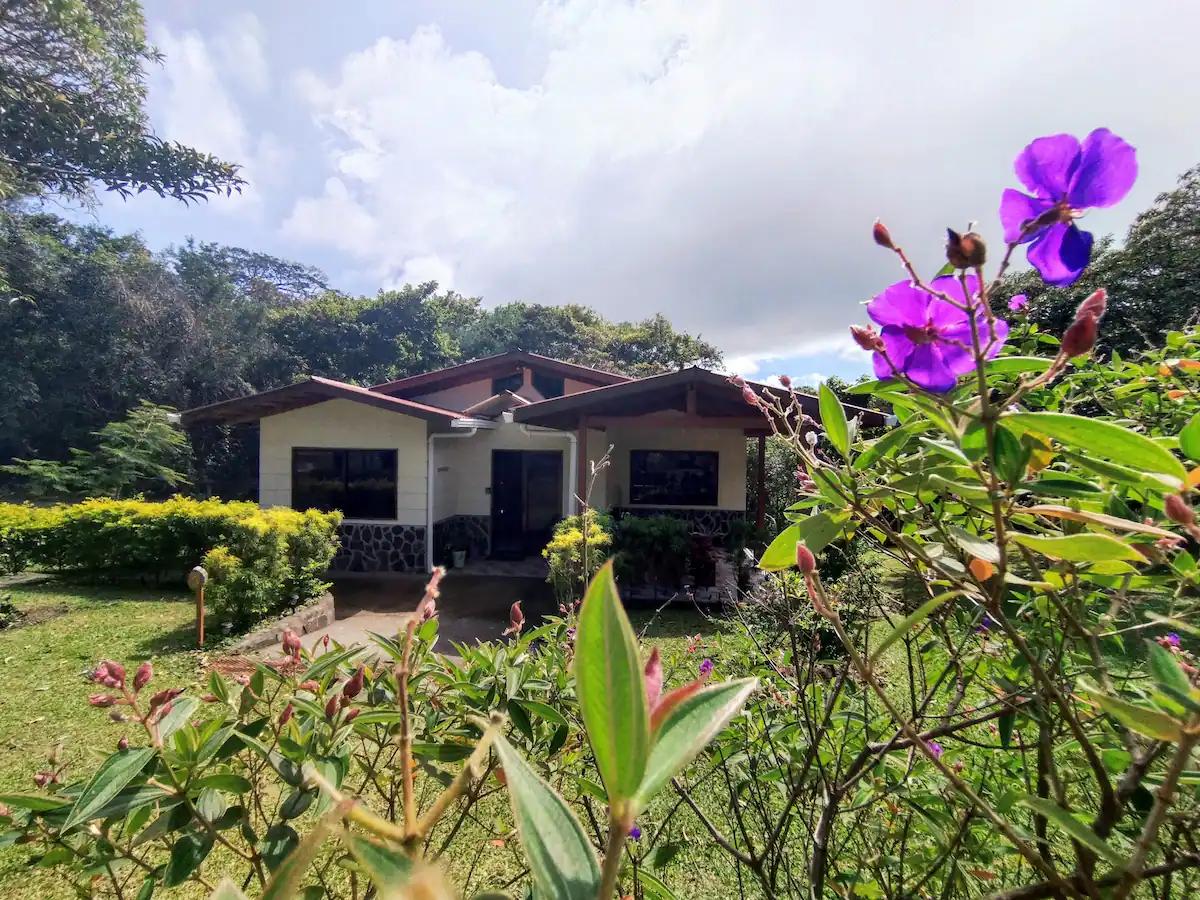 Cottage with purple flowers